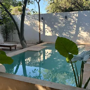 Casa Ramona , Merida Mexico