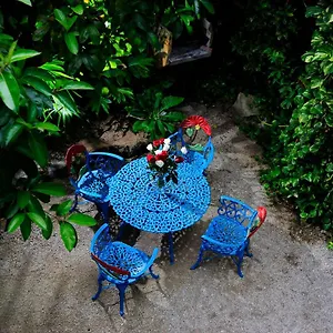 https://hotel-colorado.allrivieramayahotels.com